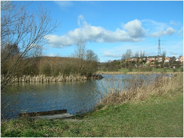 polo pond